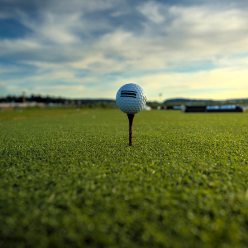 EZTee Poly Golf Hitting Turf